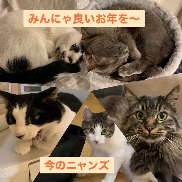 3a3c19df 5284 41e0 8b61 658391e1d8fe 1704021018882