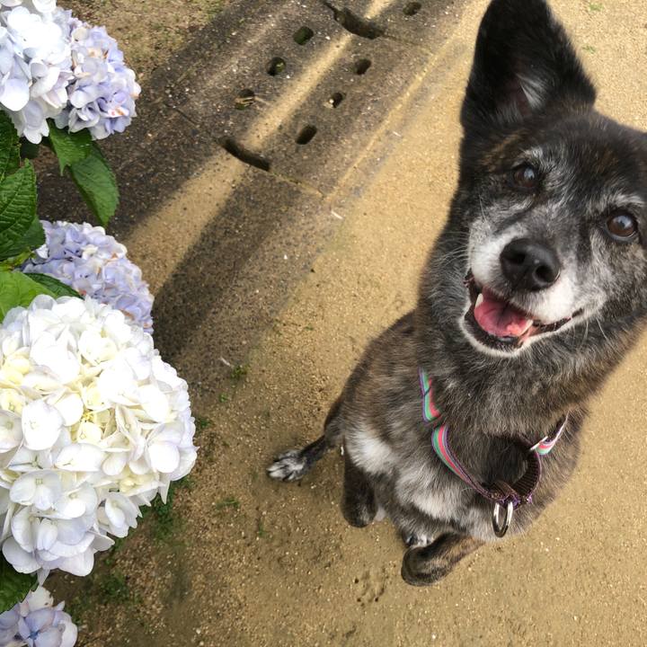 3a3c1b38 c216 4364 aad6 b3805fa07389 1655358687064