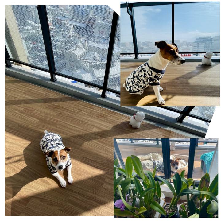 3a3c3d9d 17dd 4f51 8709 017a47744851 1739070179052