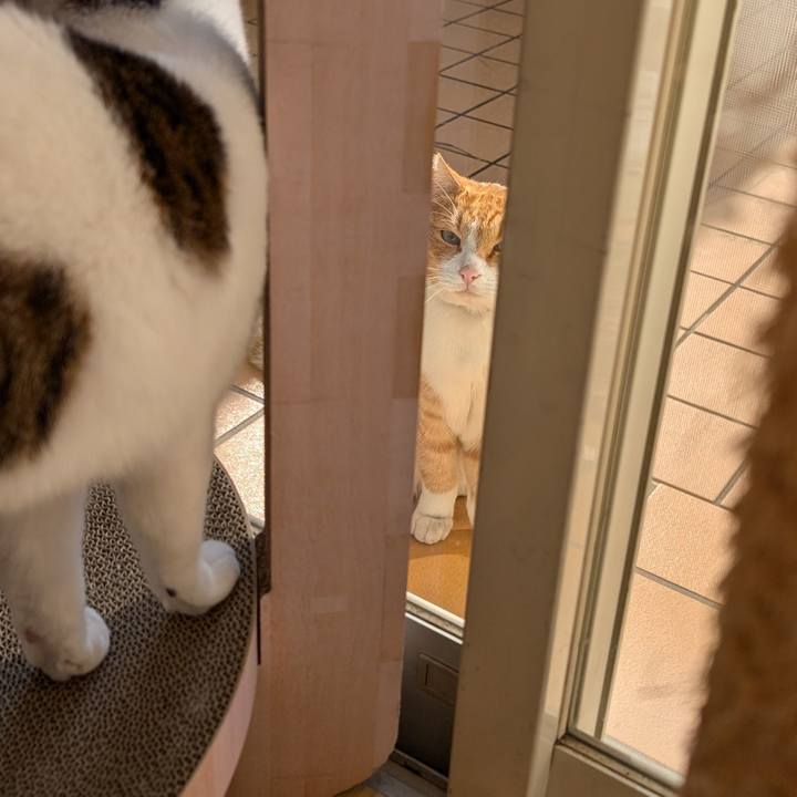 3a3c6007 59d2 4f87 bf98 220f132eabe5 1731479627337