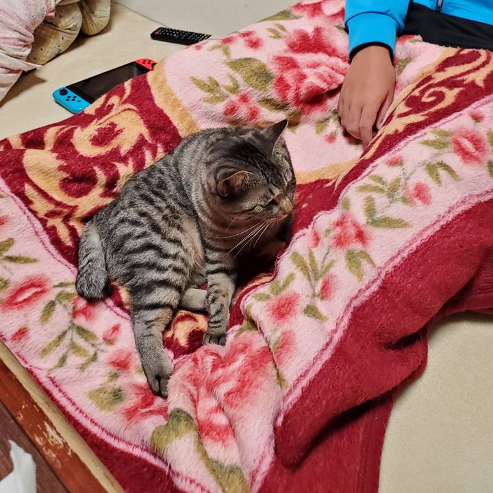 3a3c853c 2e48 4f72 af3c 23a9a234fa48 1694083955741