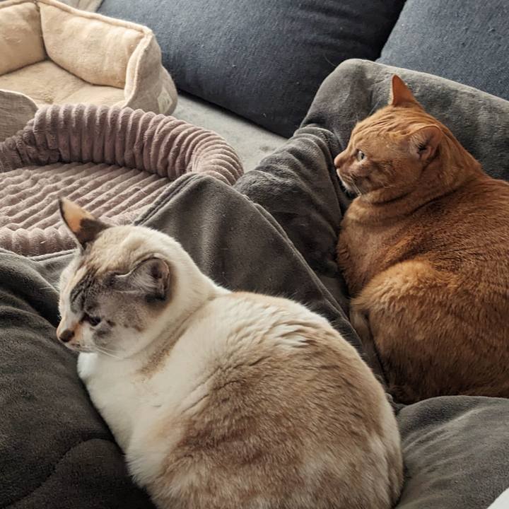 3a3c97ee 21ee 49fe 827e c28b8c2196a0 1742089403588