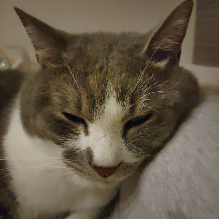 3a3cc571 ebad 4e41 966a 6cb9caf0e89e 1716817346891