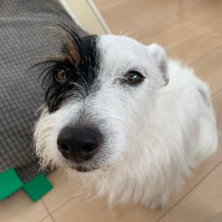 3a3ccbf8 3edd 495b b262 e533d87723cd 1570233820168