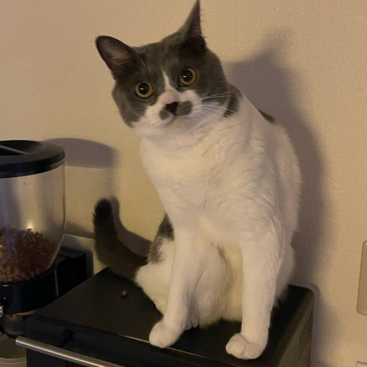 3a3cf2db e2e9 4981 98bf 80b26ffb4185 1657316087782