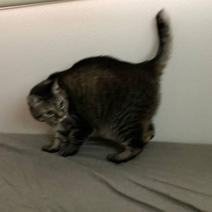 3a3cf804 6372 4c97 8bd2 7742fd67d3c6 1667020300802