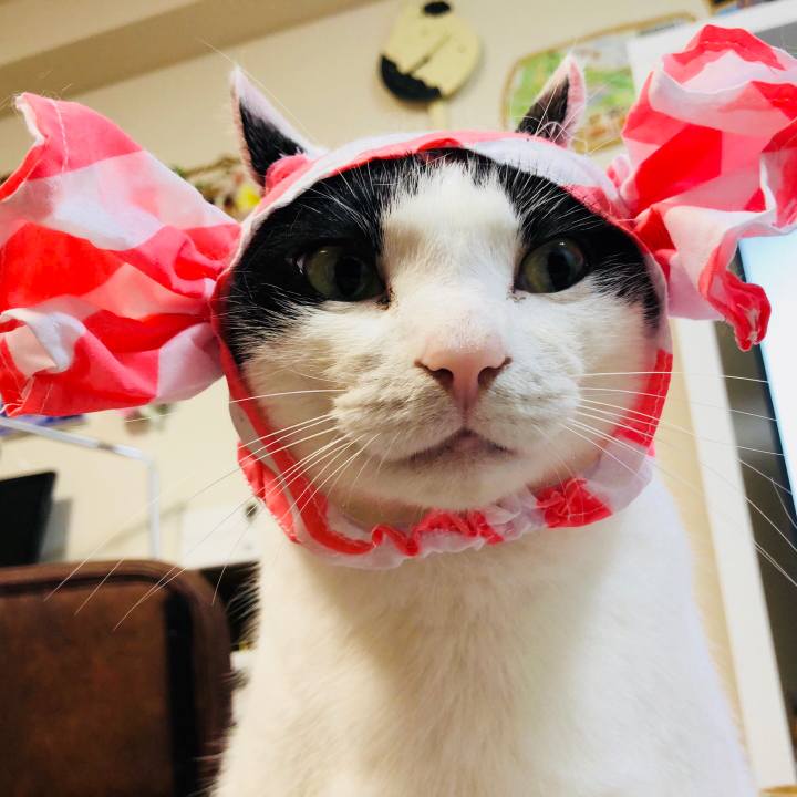 3a3d3624 8ac3 4d27 add3 74e33891ba2f 1524981831809