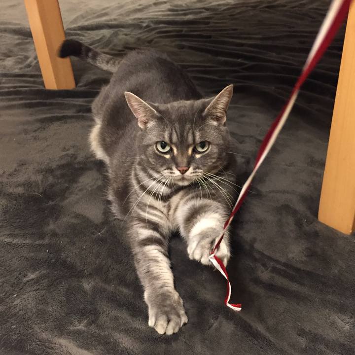 3a3d391c 2cd0 476d 972f 5e20e999cc40 1527947198635