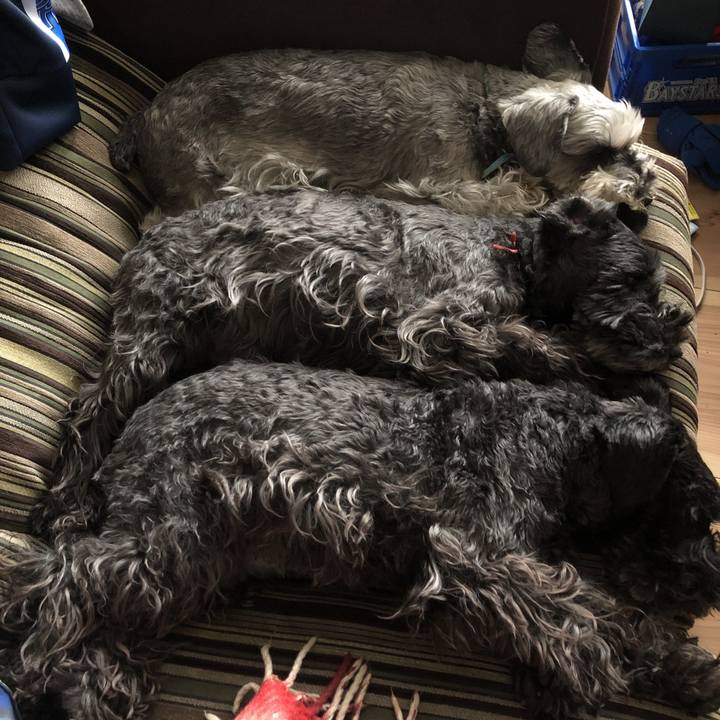 3a3d3fa7 c75a 4e44 a495 e2b76e7c3aab 1587008399402