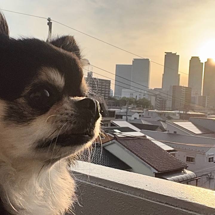 3a3d4022 5d25 4ae4 967f eaf1d32ff551 1716242618909