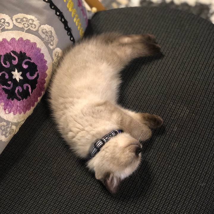 3a3d9a04 605d 4a8c 986d 32756480bd16 1586091944484