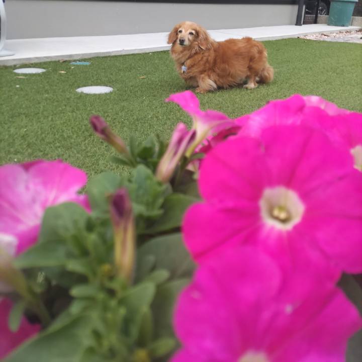 3a3dd84d 9e47 4580 826e e56b5d21104a 1746696173909