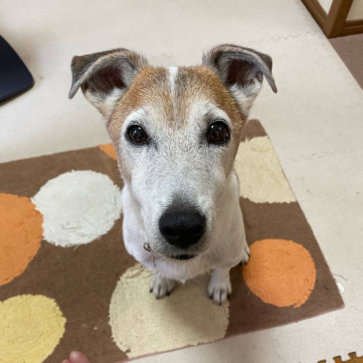 3a3de353 0caa 40b4 a5f4 befa49db9fab 1598420077273