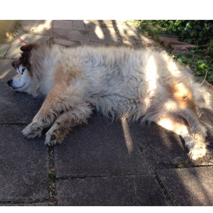 3a3e4868 de31 43d8 8a26 f3005c77d173 1555630463666