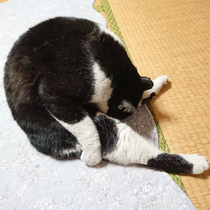 3a3e4a69 0b51 428b a7fa 37af1adf3063 1646033723358