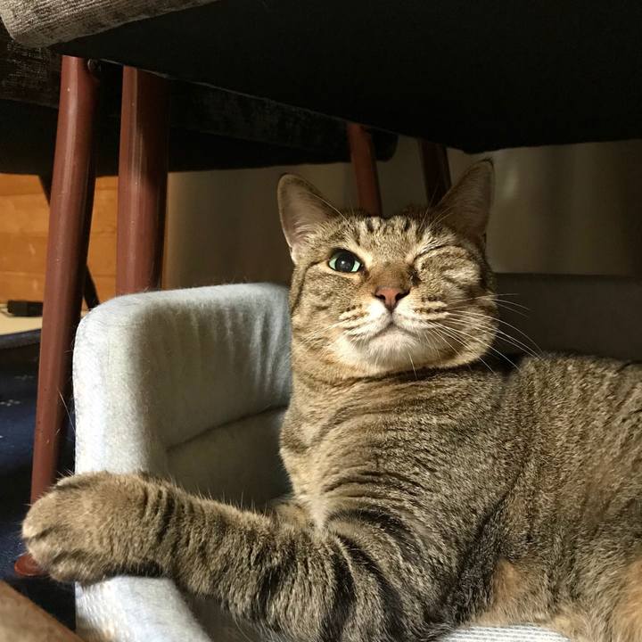 3a3e73c8 8a3e 44d2 8f7c d8d76c979165 1534254711989