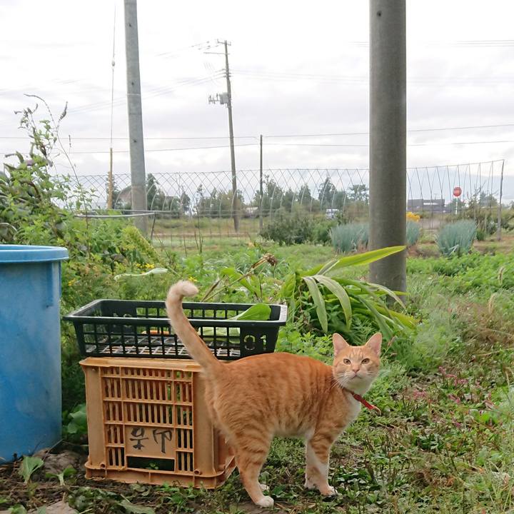 3a3e77fc 6ec7 4c08 96ae f0bea98f8cf7 1570411438148