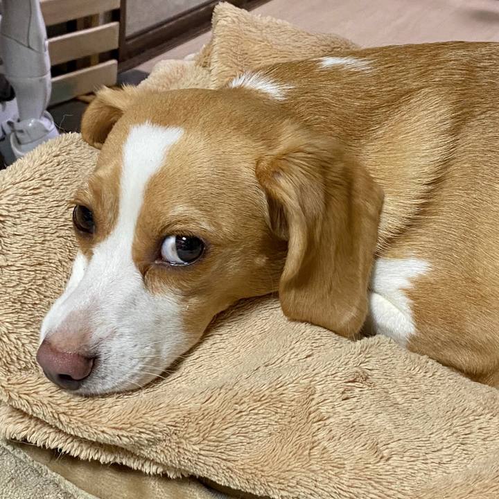 3a3e784b b666 499d 8a4a b80588504338 1594083486836