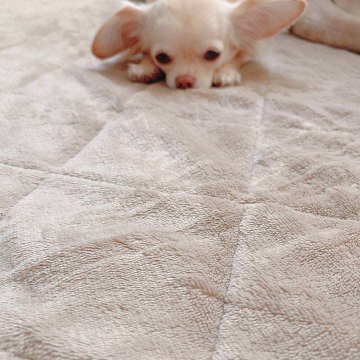 3a3eb9a5 4de2 43ec b749 1b0cf7d0cb3b 1618987886053