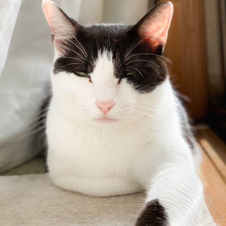 3a3eceac 54c0 4fda a528 3bf9d6883e30 1569289423680