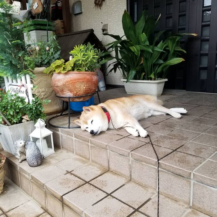 3a3f3991 b87c 4361 a925 c1ea64d9c719 1719793499468