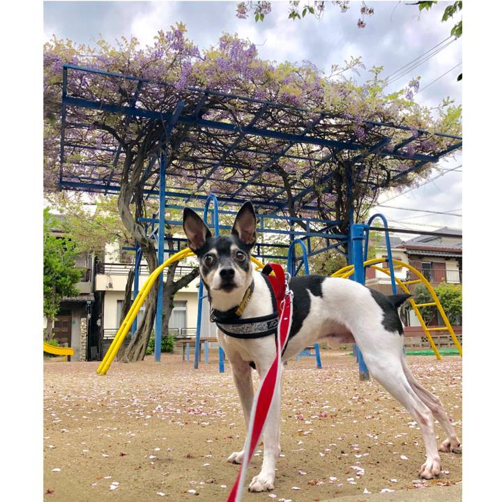 3a3f5d0c 981a 417d 9fa7 116783d7a22a 1555626483766