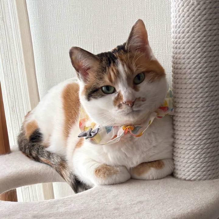 3a3f7709 e687 4242 9e3d 6ca2518d5e0f 1773027364473