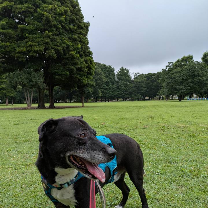 3a3f98bb 2553 46db b2e9 dcceff732517 1750897349220