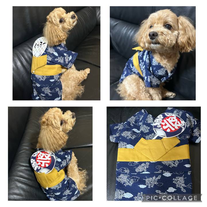 3a3f9a9b 32df 4c30 8948 7e4f3bbf5171 1688651324015