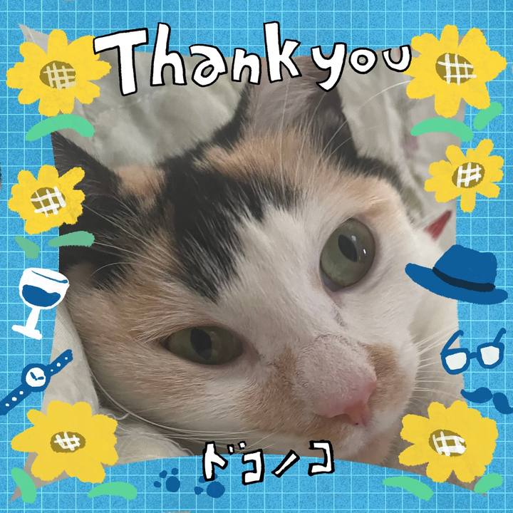 3a3fa25c 3889 4bf5 982d a945a3e22990 1717629056267