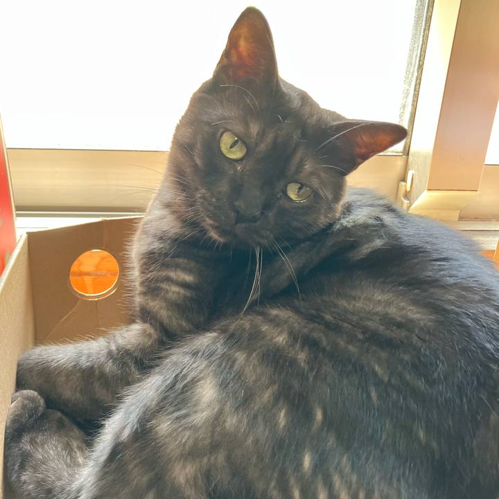 3a3ff3b1 47d7 4e52 bee0 80c190154e23 1758847232940