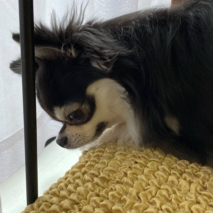 3a40a4c5 25a5 4a55 b660 3be68d37a5d7 1656856194445