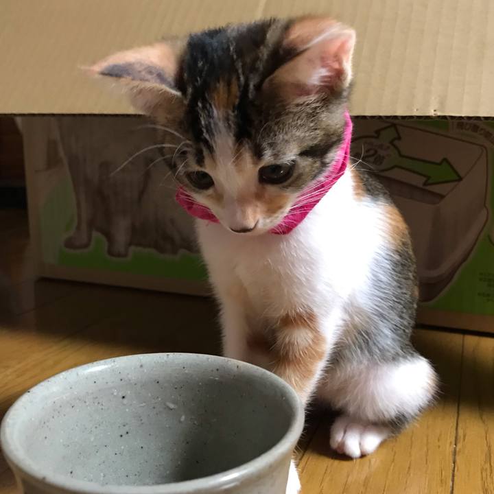 3a40ded8 3c54 40f8 b72b 42a3a3bfbc4a 1598970168356