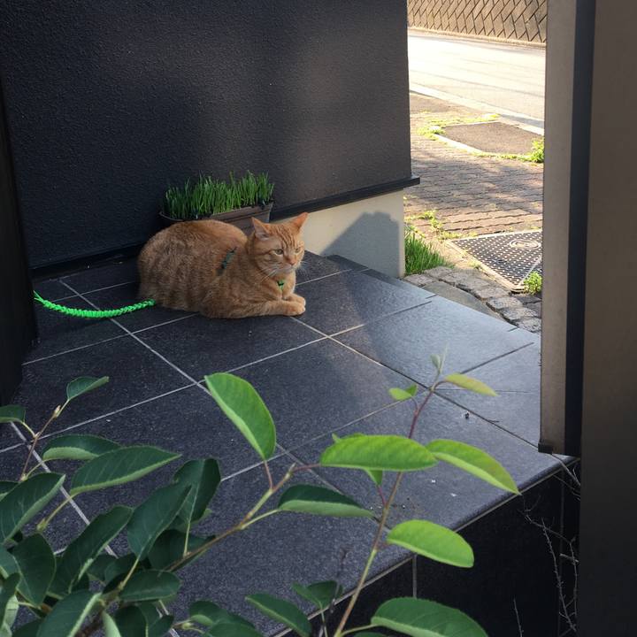 3a40e8c5 99a7 48d1 b081 0da059413541 1562069626778