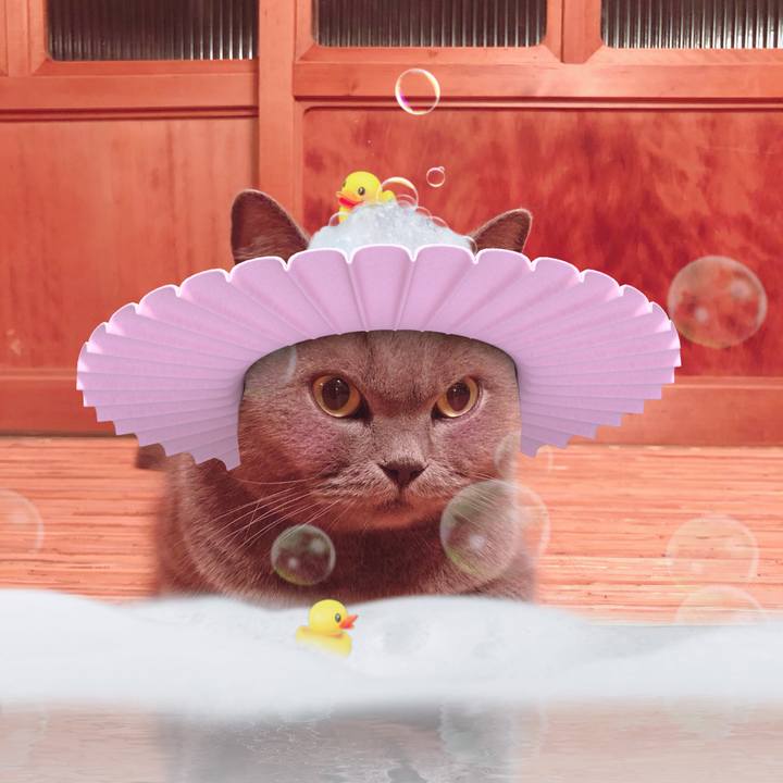 3a41197c 7903 424d bc83 8f28d91371d2 1569856454835