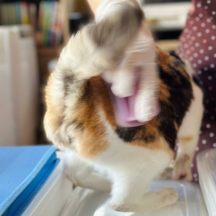 3a413d3d 8fe5 4e2c b66d 57ce9c370469 1717985653378