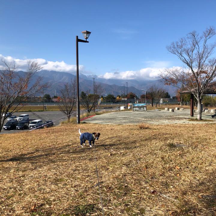 3a4163f1 b467 41e0 b197 83088113c509 1573958438670