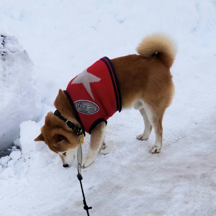 3a417a44 ad8d 4e6f bb32 ad2bc8221e95 1608804811920