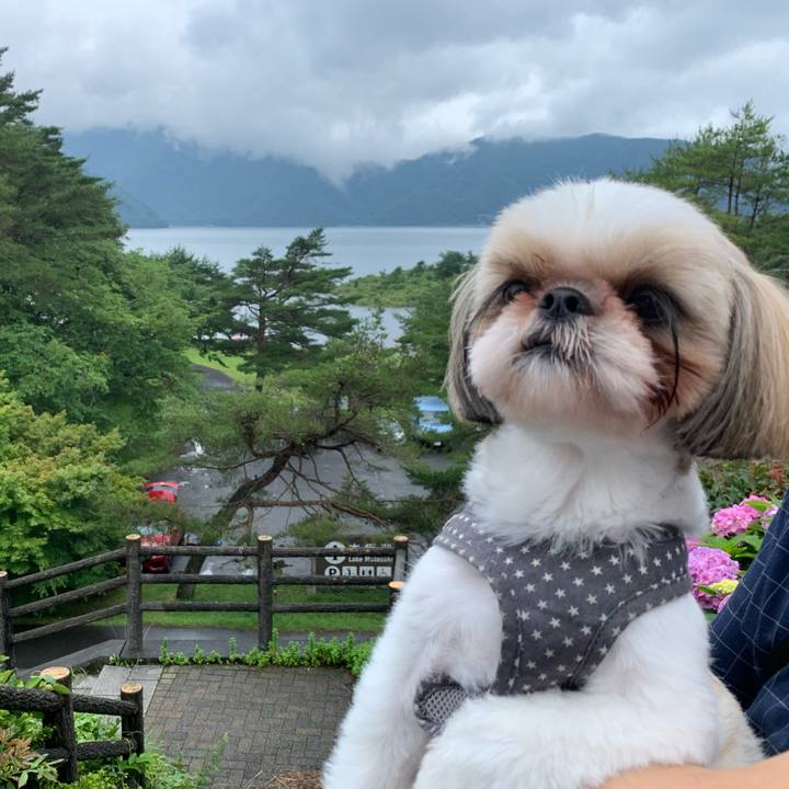 3a417c21 848a 4dbd ad1c 4df88638b599 1596771948061