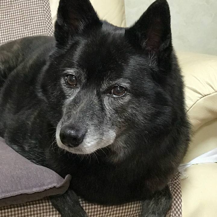 3a41b57d 15bc 42bc 8851 4779c729620c 1511951836866