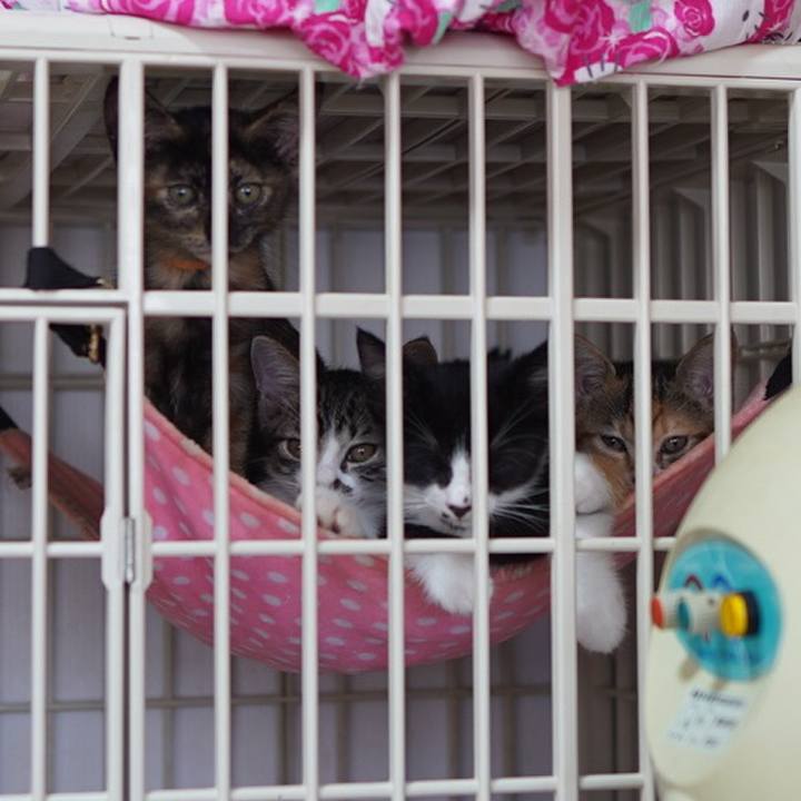 3a41f5e2 8b61 499c 8513 8c3d1ba4309f 1567304182006