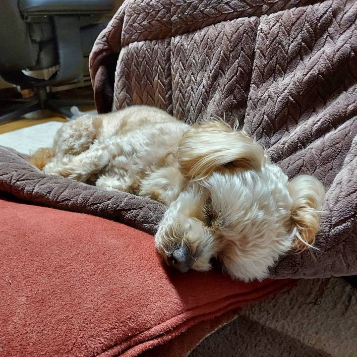 3a4201bd 6860 41c6 b377 6015bcc3a3dd 1647086984666