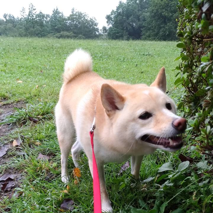 3a422a03 6397 4b7a 9ed0 5fb9389cc49a 1601103788962