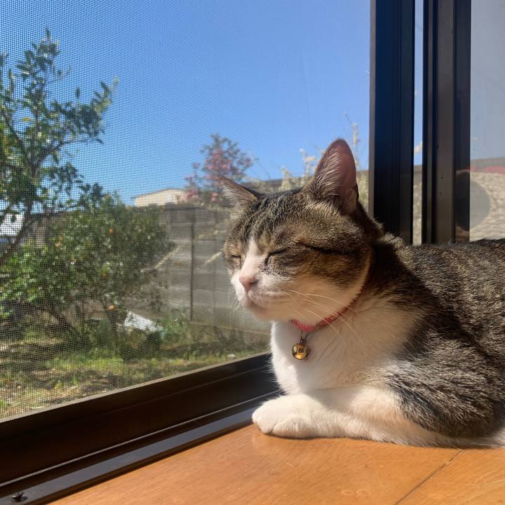 3a4264d1 0b69 4d13 b4ba e4c05db82a73 1681692552222