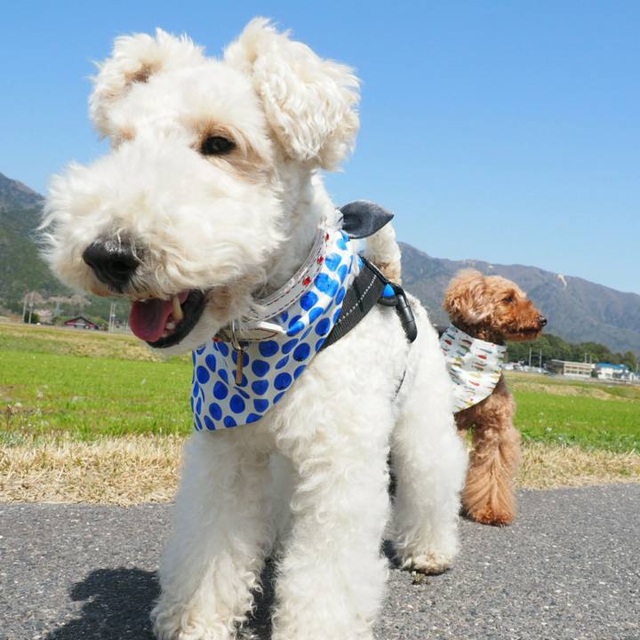 3a428777 bf6b 45eb a902 855735b9c765 1522817461149