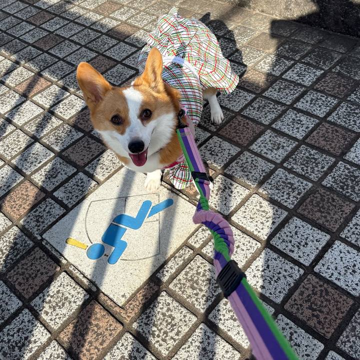 3a42ffc2 30d9 436e a490 6ba2dd95d9df 1772359258056