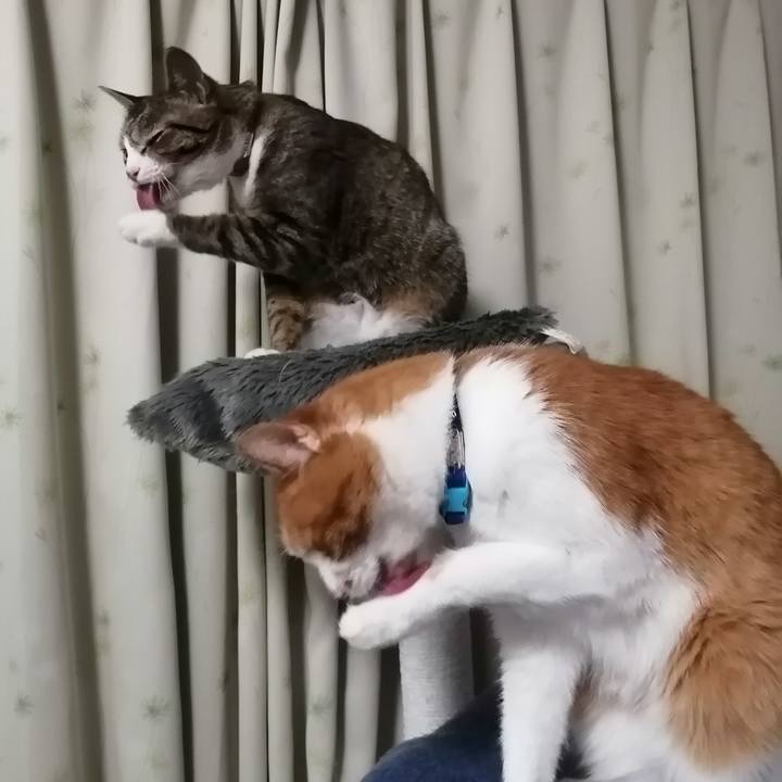 3a4326ff 7ee7 46c5 9867 3f72c9a1c334 1682631504180