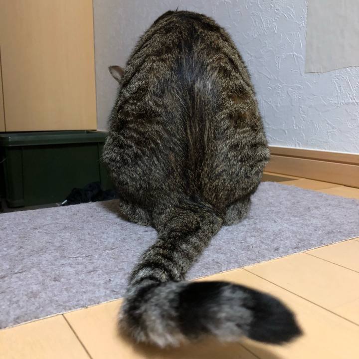 3a4349f7 239f 4c84 834b d75816681a1e 1522408020886