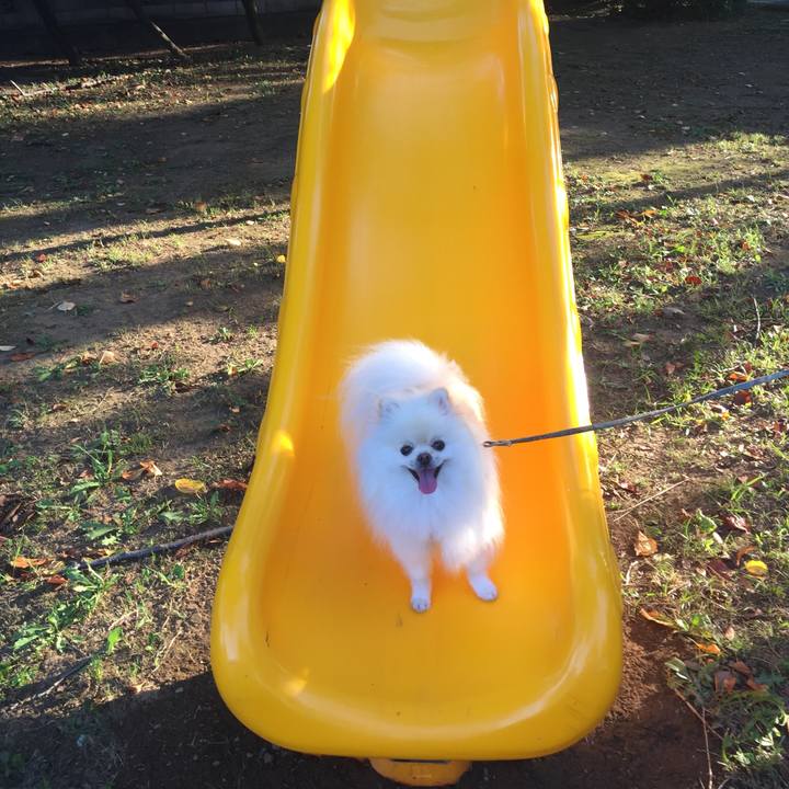 3a43522d a82d 4b9e 82a0 19a812aa0d83 1536484674131