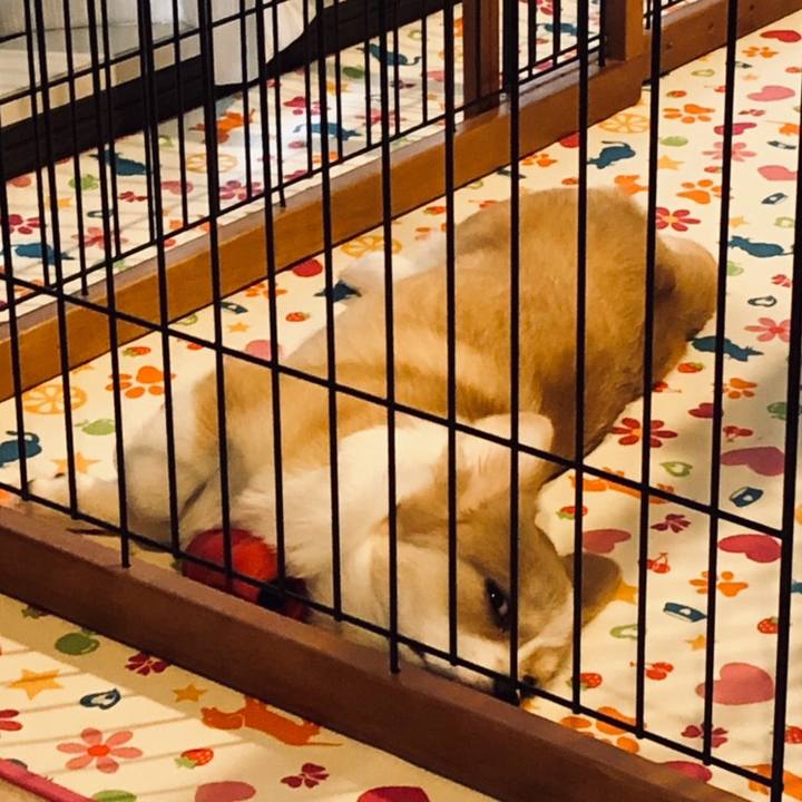 3a43bd8b 76f4 4aef 90b8 3ce851f4edee 1560591997607